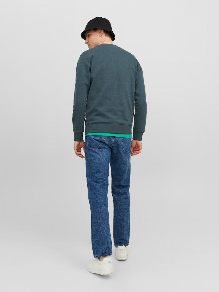 Jorsilverlake Sweat Crew Neck LnMagical Forest Print
