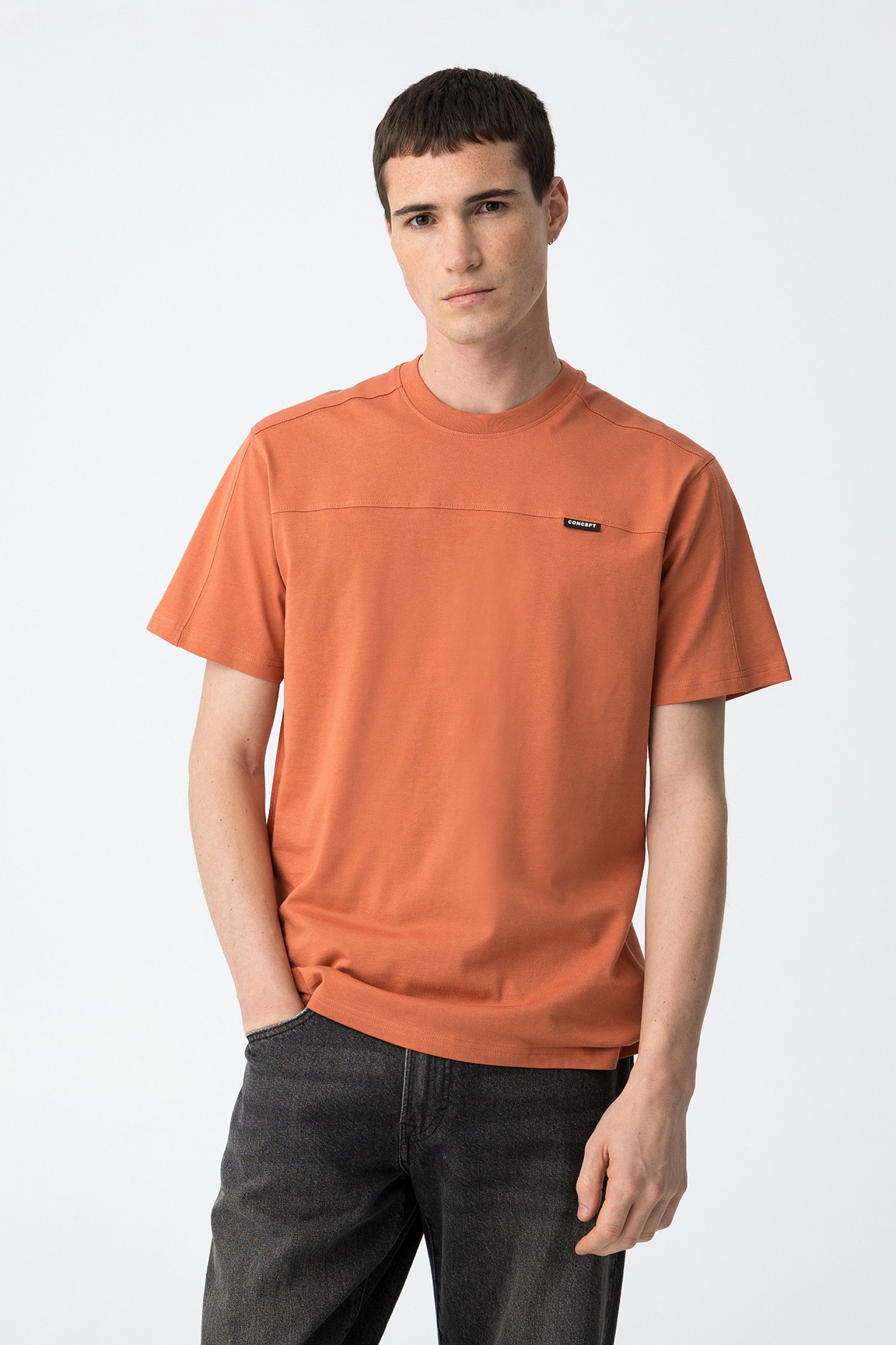 Camisetas Tiffosi Calvin 10059145 527