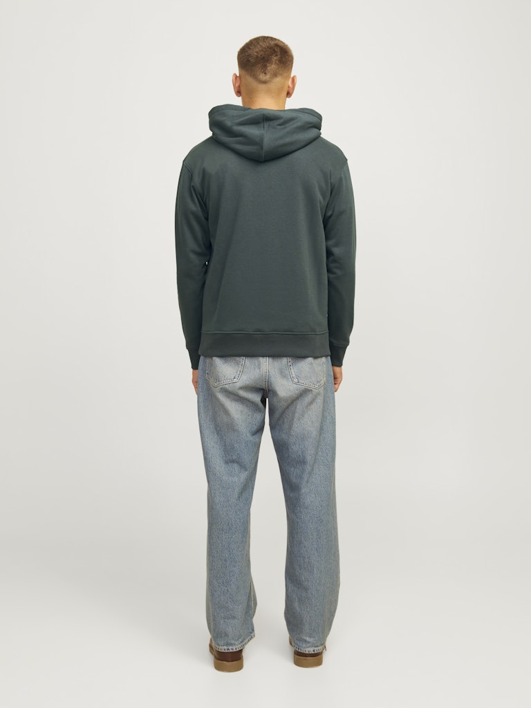 Jack & Jones Jorportland Block Branding Sweat Hood 12262421 Forest River