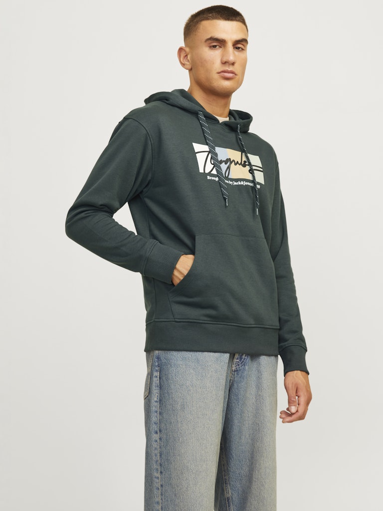Jack & Jones Jorportland Block Branding Sweat Hood 12262421 Forest River