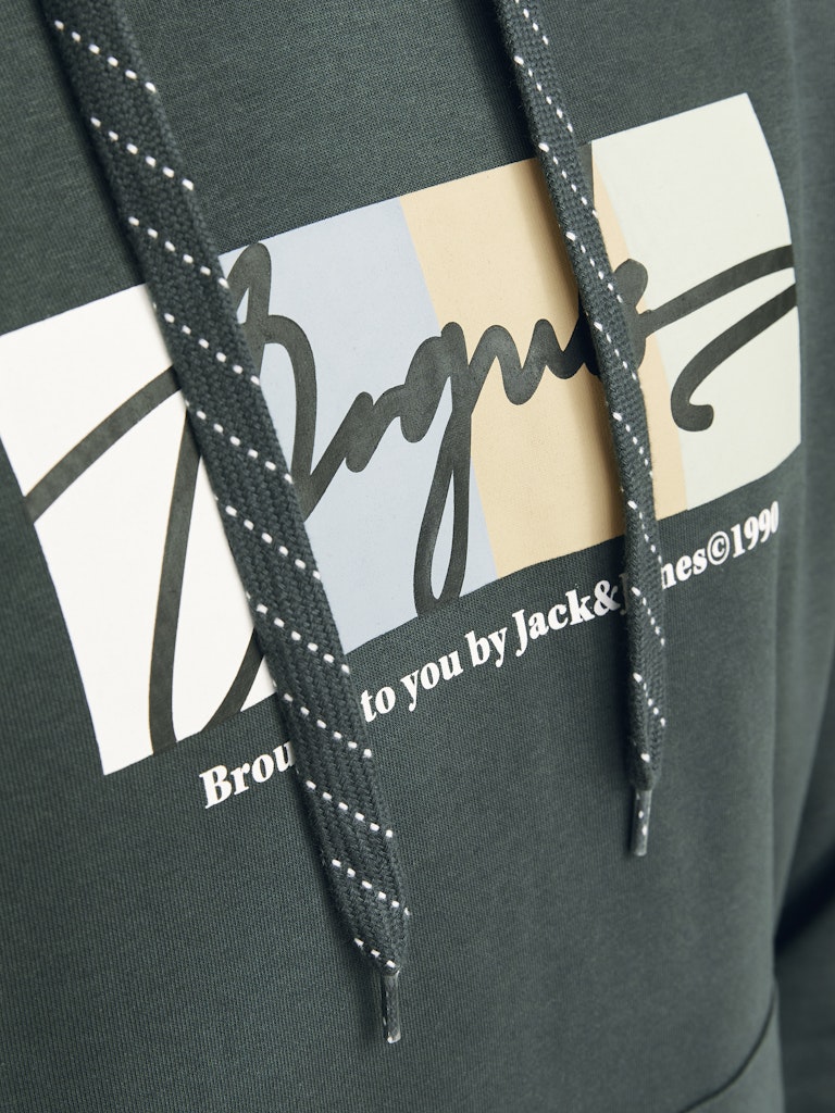 Jack & Jones Jorportland Block Branding Sweat Hood 12262421 Forest River