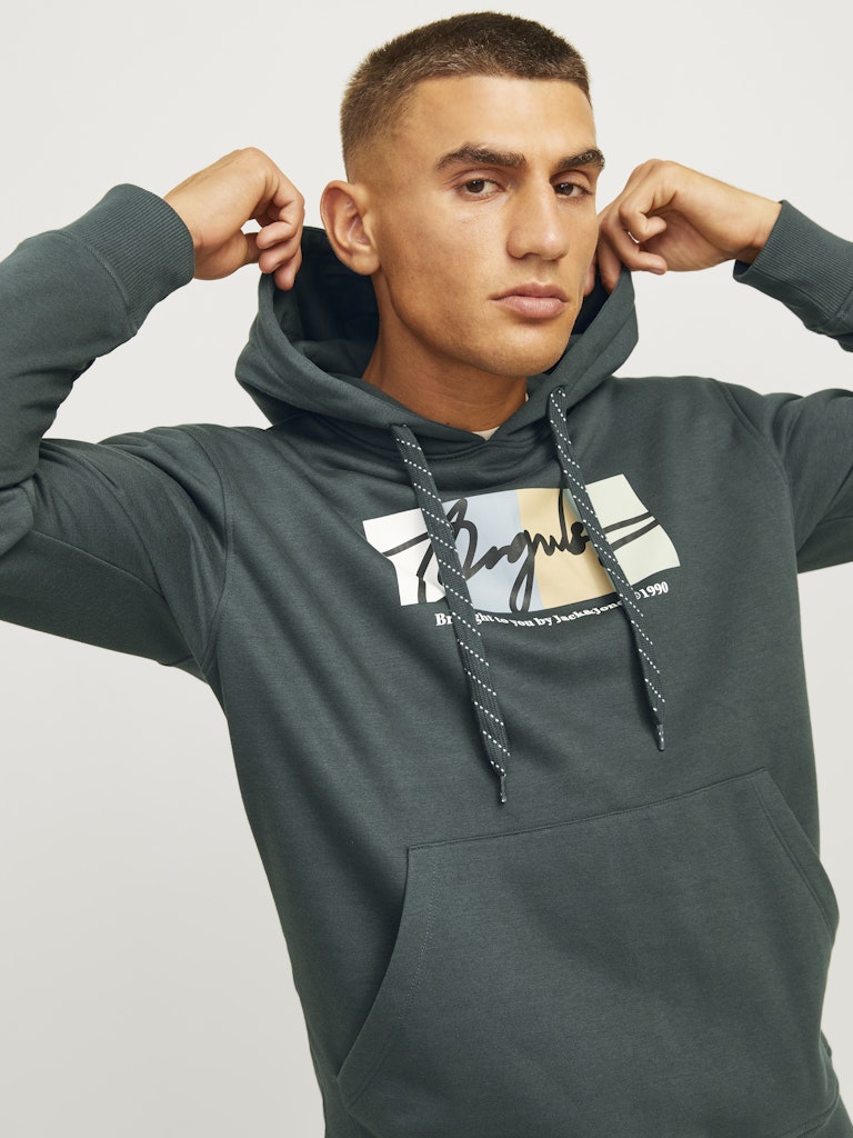 Jack & Jones Jorportland Block Branding Sweat Hood 12262421 Forest River