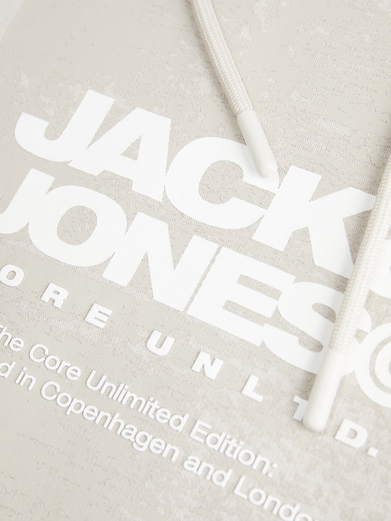 Jack & Jones Jcoaero Front Print Sweat Hood Jack & Jones Sweatshirt 12269940Moonbeam
