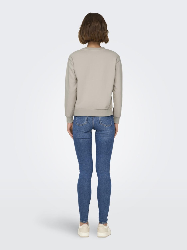 JDY Jdyparis L/S Emb Sweat Jrs 15221015 Chateau Gray Soho Emb
