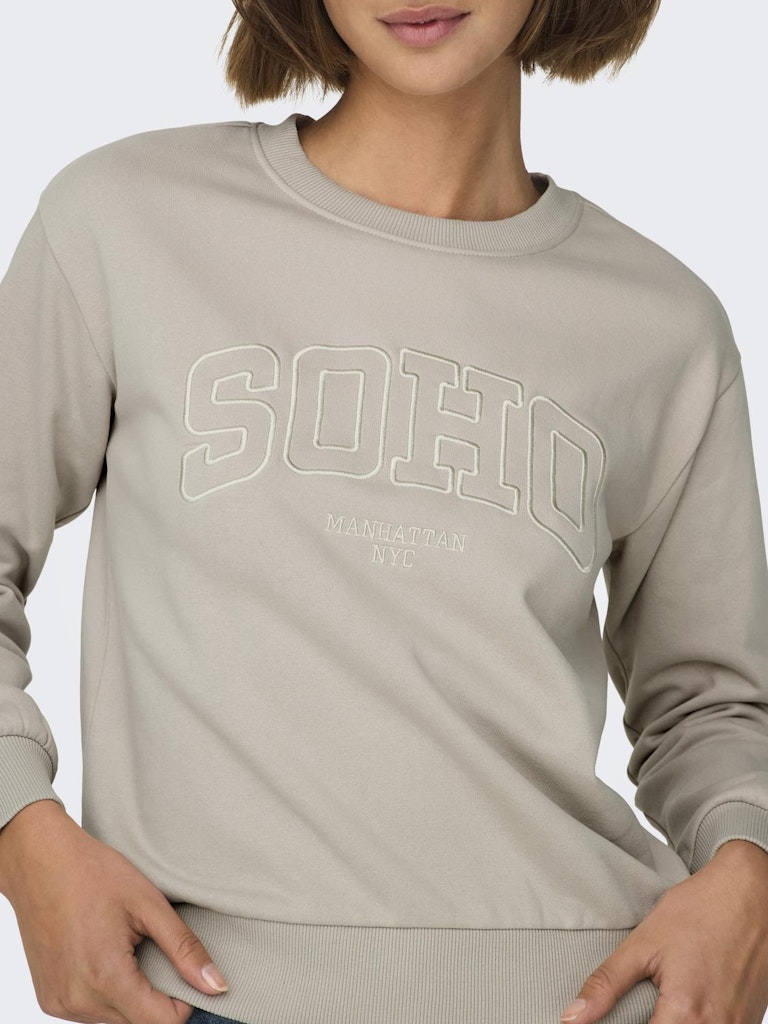 JDY Jdyparis L/S Emb Sweat Jrs 15221015 Chateau Gray Soho Emb