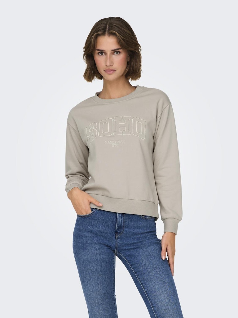 JDY Jdyparis L/S Emb Sweat Jrs 15221015 Chateau Gray Soho Emb