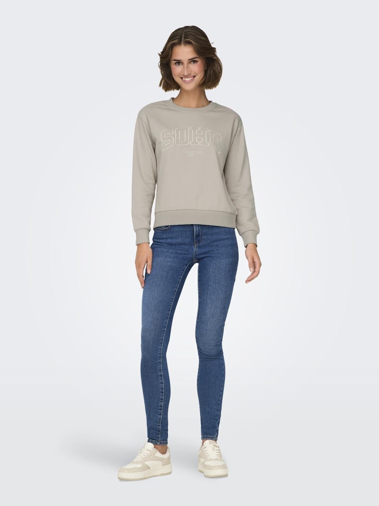 JDY Jdyparis L/S Emb Sweat Jrs 15221015 Chateau Gray Soho Emb