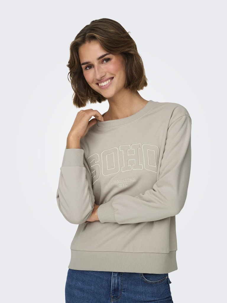 JDY Jdyparis L/S Emb Sweat Jrs 15221015 Chateau Gray Soho Emb