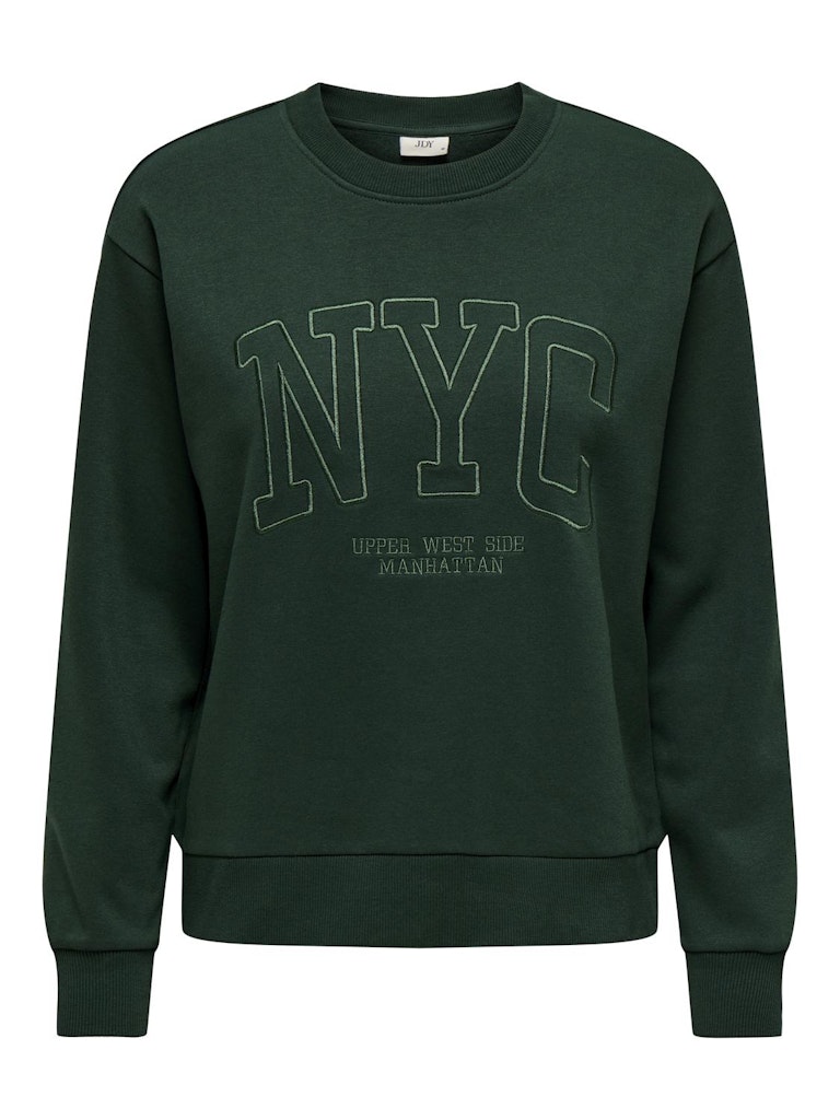 JDY Jdyparis L/S Emb Sweat Jrs 15221015 Pine Grove Nyc Emb