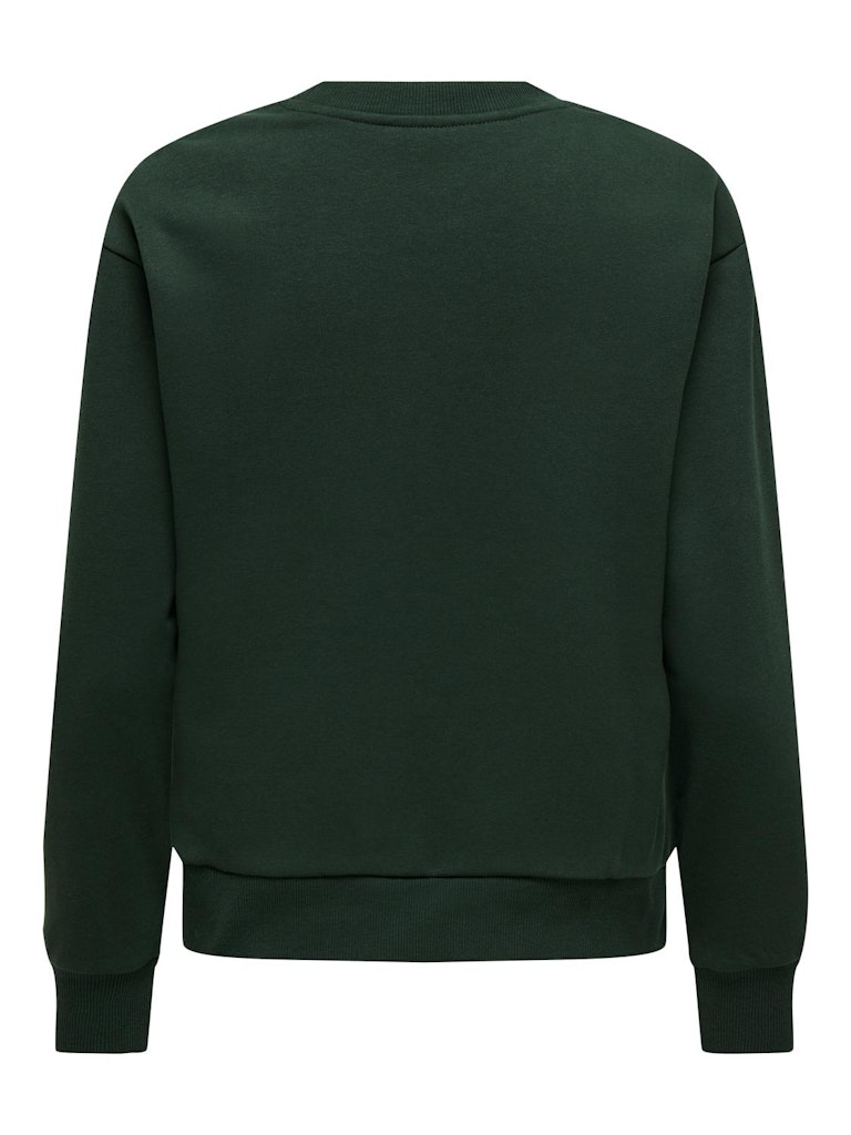 JDY Jdyparis L/S Emb Sweat Jrs 15221015 Pine Grove Nyc Emb