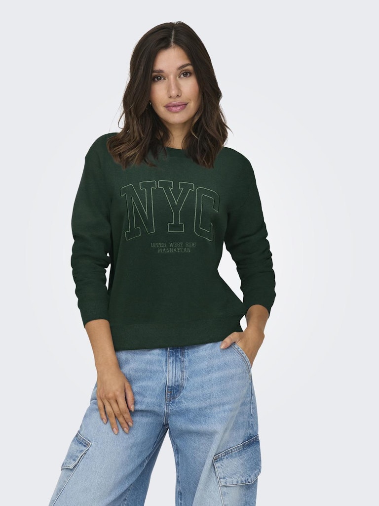 JDY Jdyparis L/S Emb Sweat Jrs 15221015 Pine Grove Nyc Emb
