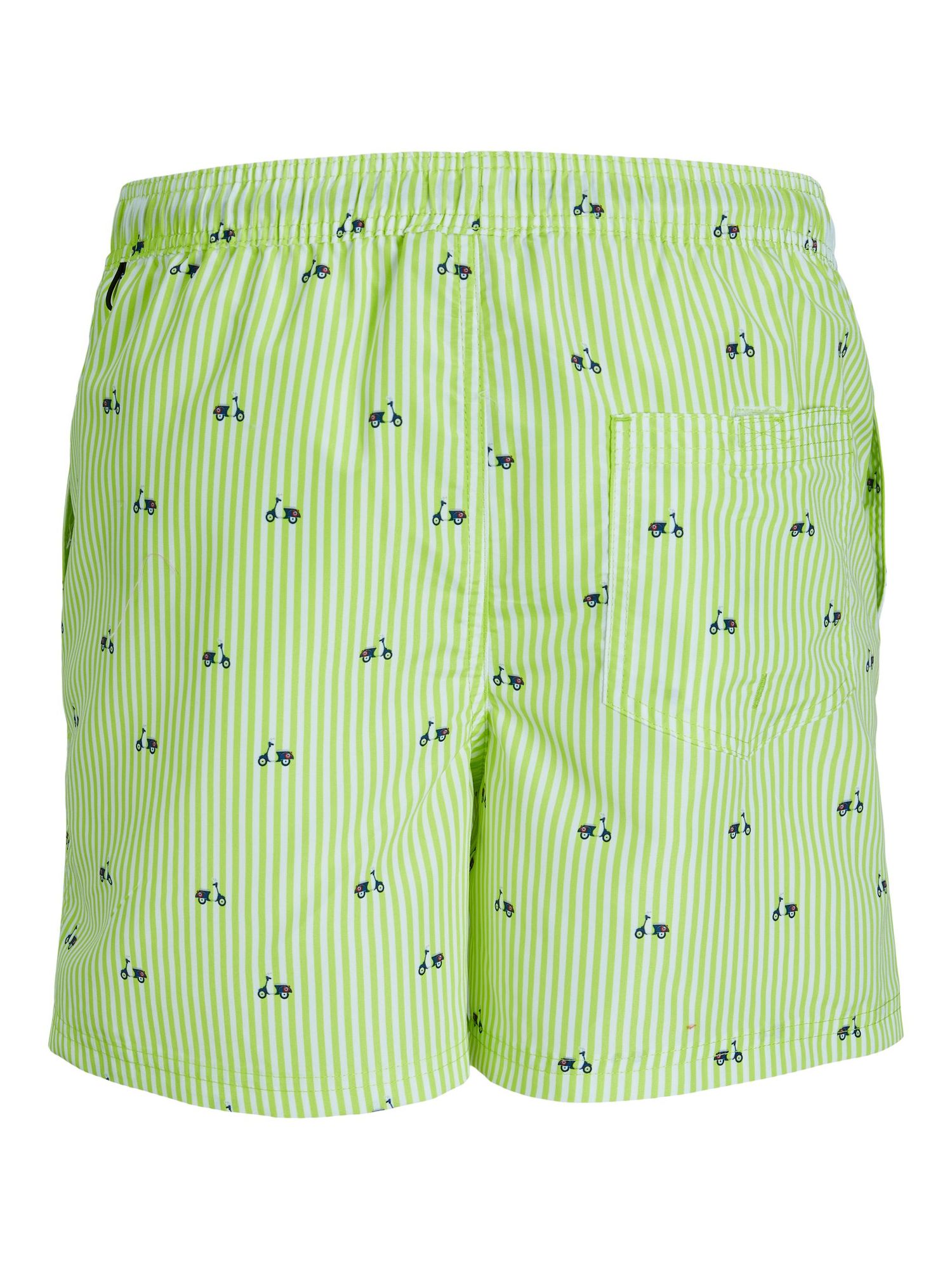 Jpstfiji Jjswim Mini Stripe Ly - dvjeans